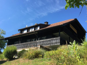 Landhausvilla Strittberg 7 Höchenschwand